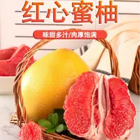 【琯溪蜜柚】正宗福建平和红心蜜柚当季新鲜水果宝宝甜柚子现摘