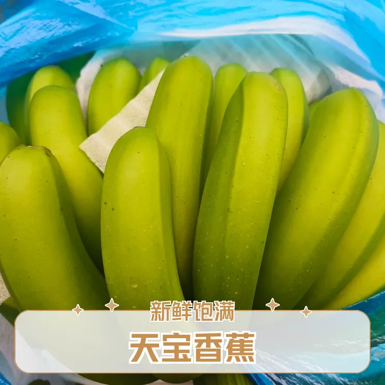 【福建天宝香蕉】新鲜口感香甜软糯不泡药水到货需批发自行催熟