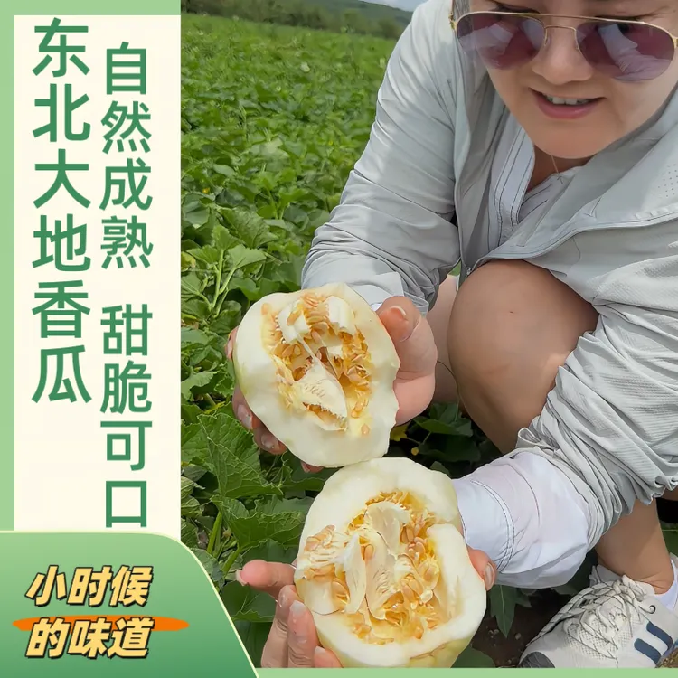 【顺丰+气泡柱】头茬东北香瓜5斤装大地爬瓜新鲜脆甜爽口孕妇水果