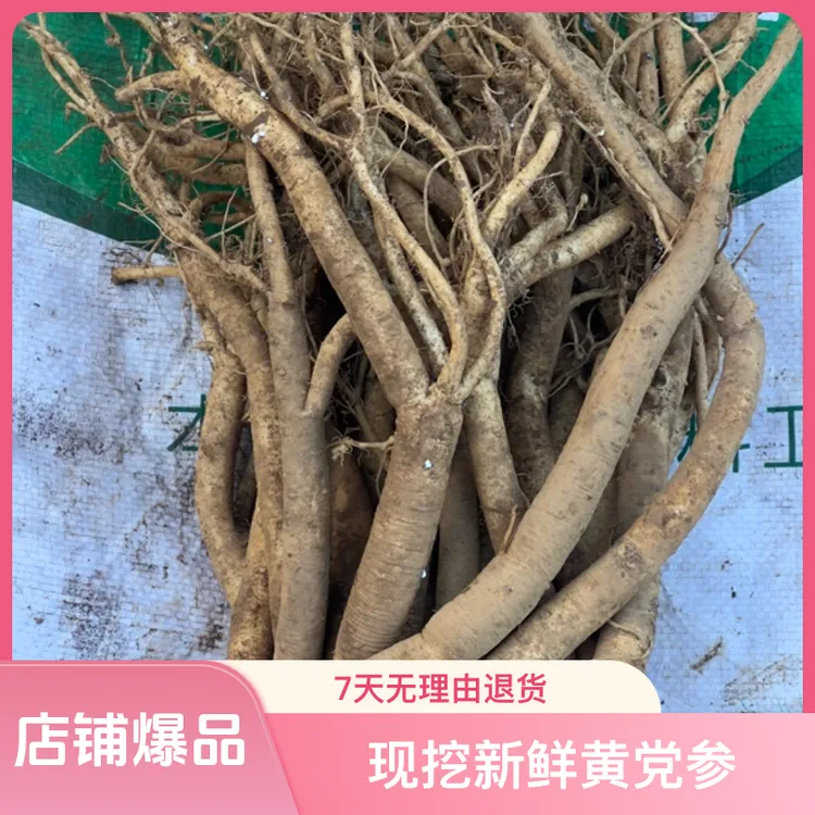 贵州原产地现挖新鲜黄党参可煲汤滋补大条