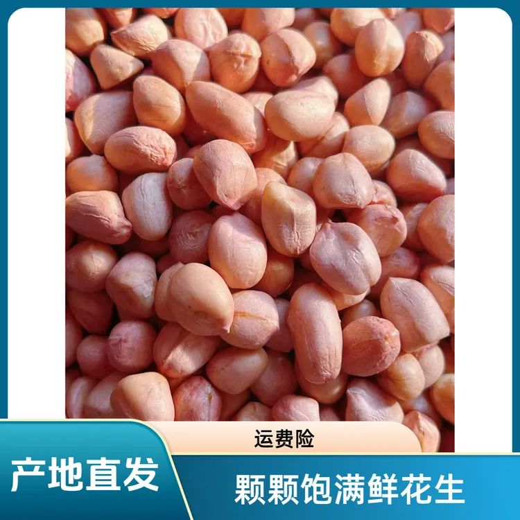 【厂家直销】2025年当季新米上市新鲜粉红皮白沙花生米现剥丽波花生