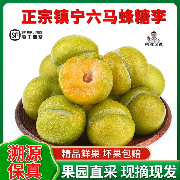 正宗贵州六马蜂糖李 安顺镇宁顺丰空运包邮基地直采[假一赔十]