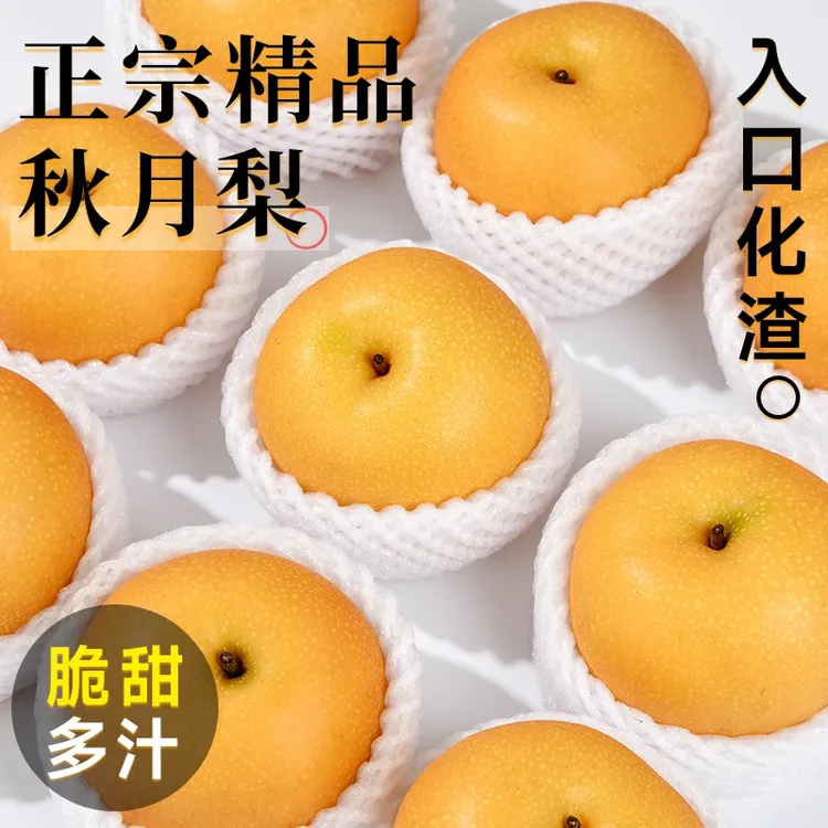 正宗秋月梨梨子新鲜水果应当季整箱包邮批发山东莱阳蜜梨冰糖雪梨