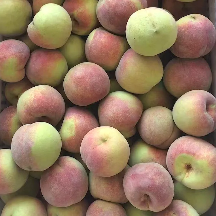 【到手30个】小冬桃新鲜脆桃毛桃当季水果