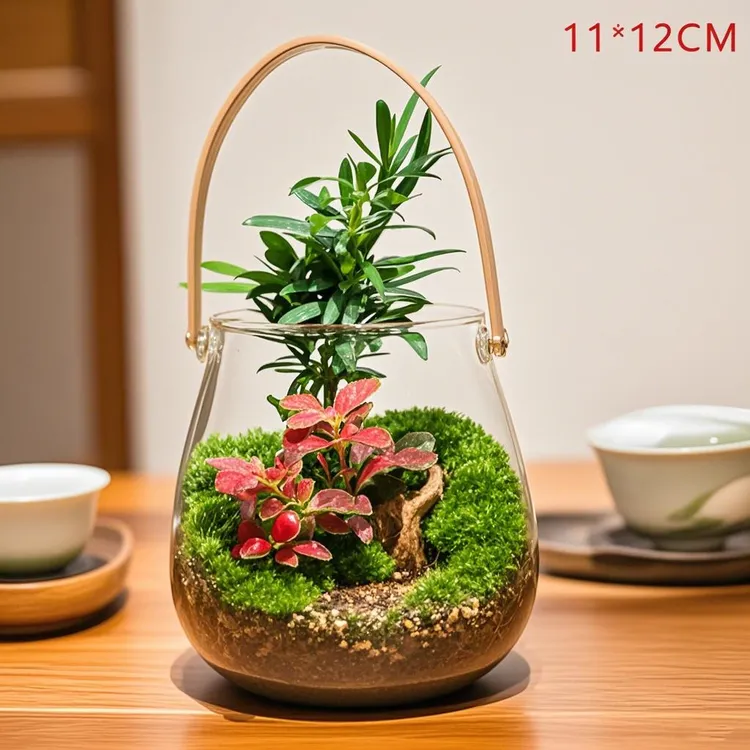 D7【秘境】苔藓微景观迷你11厘米手提款懒人绿植送礼精品