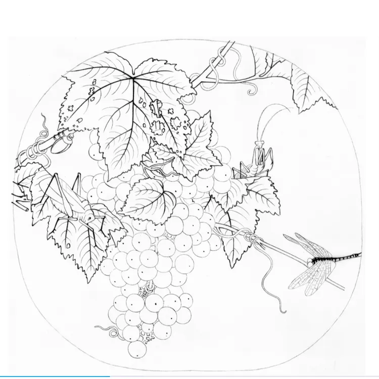 宋画花鸟白描稿每张都附带临摹指导电子资料收到后按白描资料获取