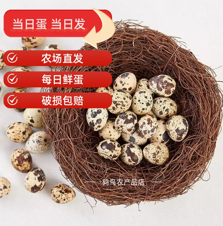 新鲜鹌鹑蛋50枚鹌鹑蛋生蛋农家特产现产速发新鲜到家升级包装