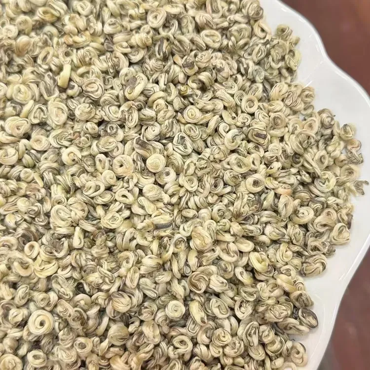茉莉花茶-2025年正宗茉莉白雪玉螺 浓香耐泡 回甘回甜（直播热卖）