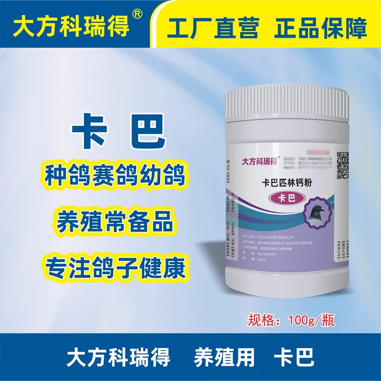 大方科瑞得卡巴匹林钙信鸽赛鸽肉鸽观赏鸽翻翻鸽肉鸽鸟类宠物及