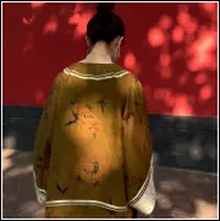 随机美衣一件