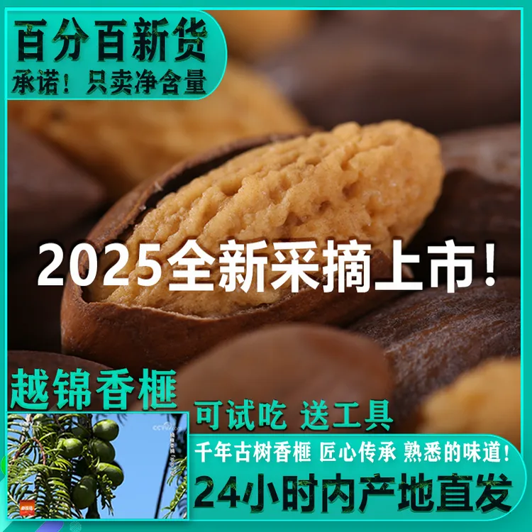 2025新货香榧新鲜现炒精品老树香榧嵊州特产产地直发坚果干果零食