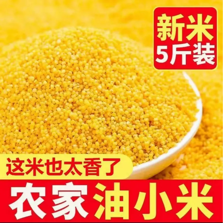 【沂蒙山新小米】2025年黄小米