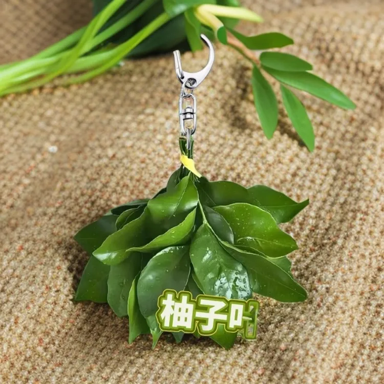 大嫂同款去晦气挂件柚子叶亚克力汽车挂饰钥匙扣防小人平安祈福