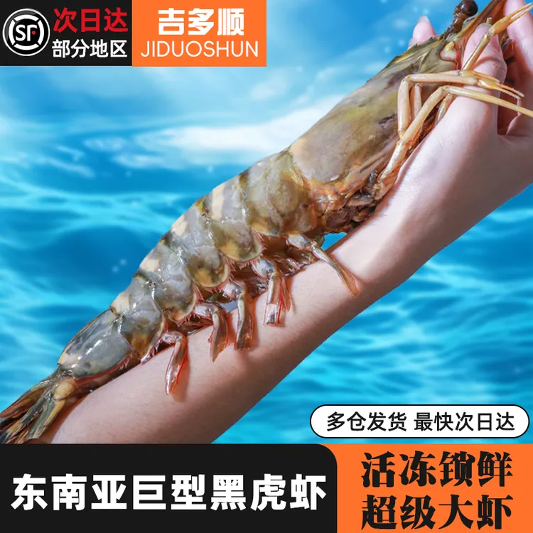 鲜活冷冻东南亚黑虎虾 15头两斤 长18-20cm活冻锁鲜 精选手臂大虾
