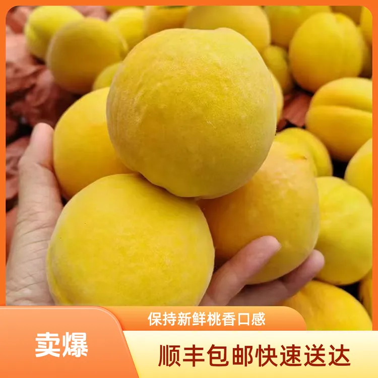 （顺丰包邮保持水果新鲜脆甜口感）湖北锦绣桃子黄桃水果新鲜夫人