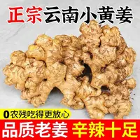 正宗云南小黄姜新鲜现挖香辣十足老姜可做月子姜整箱带泥保鲜发货
