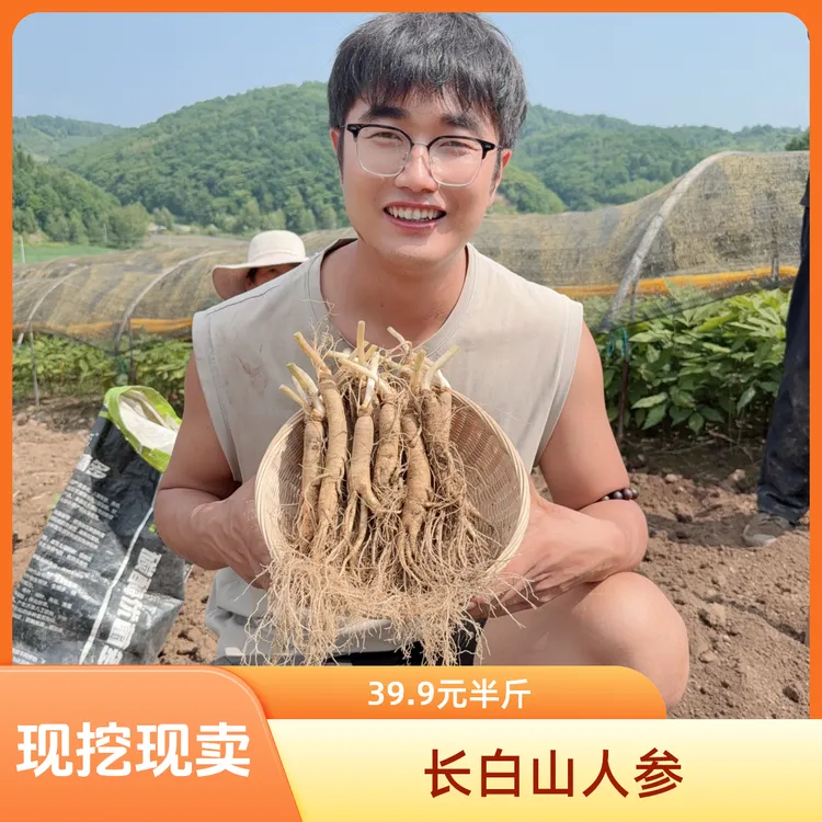 长白山新鲜人参（15-20支）现挖现卖 煲汤泡酒滋补佳品半斤装