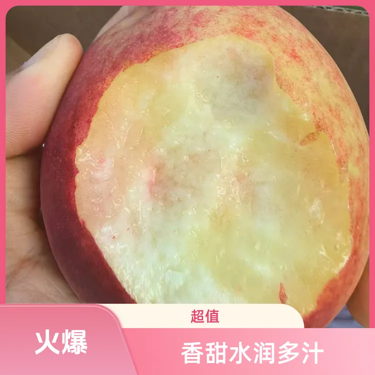 正宗水蜜桃脆甜清甜产地襄阳现摘超大水果当季网红水蜜桃新鲜