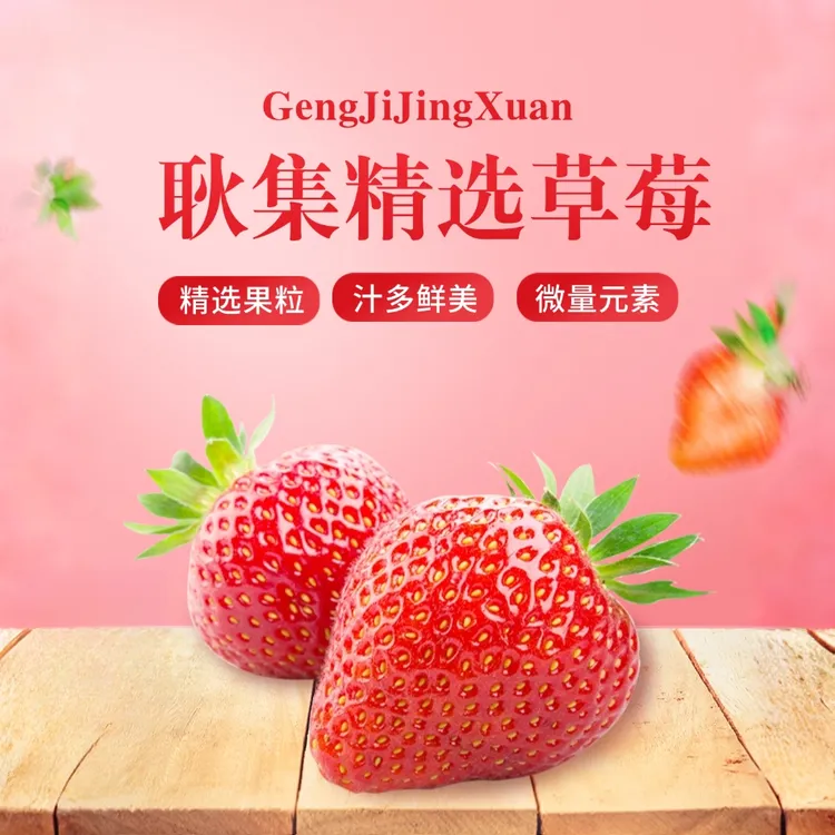 【顺丰包邮】 耿集草莓 当季新鲜 产地直供 现摘现发 酸甜可口