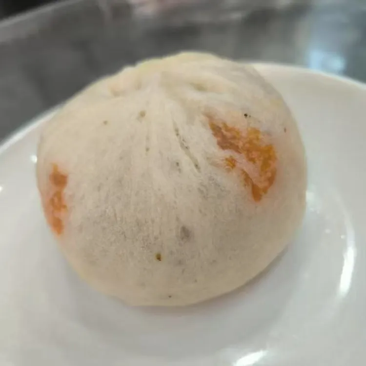 包智道巴中盐菜包5+竹笋酱肉包5共10个装加热即食