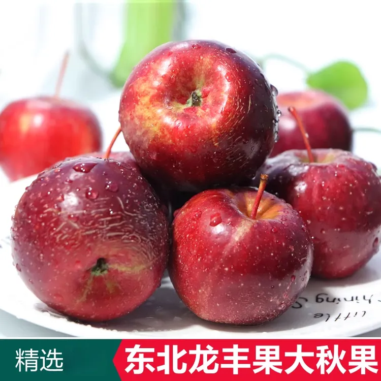 东北龙丰果大秋果整箱新鲜当季水果海棠果沙果酸甜特产小苹果