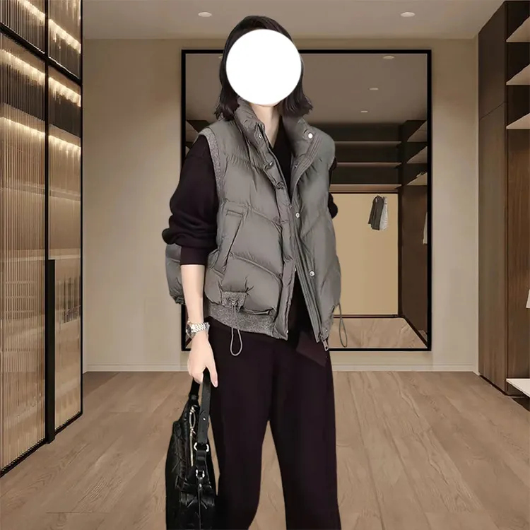 秋冬季韩版立领休闲风马夹棉服2025爆款女装外搭保暖叠穿上衣