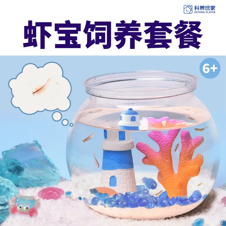 虾宝养成记儿童科学小实验孵化养殖套装益智观察缸