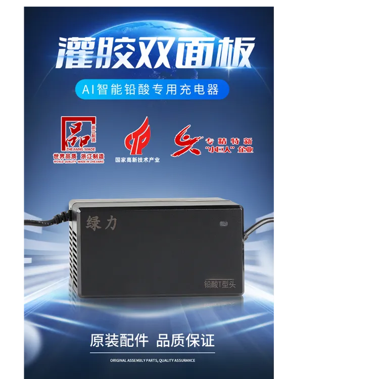 原厂配套 绿力智能灌胶60V72V双面板防水充电器系列（各种专用头）