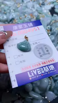 翡翠未镶嵌吊坠(不含链)4951