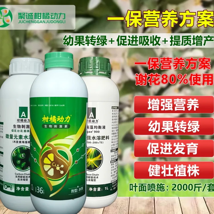柑橘动力保果营养方案速补营养幼果转绿果柄增粗提高座果稳果