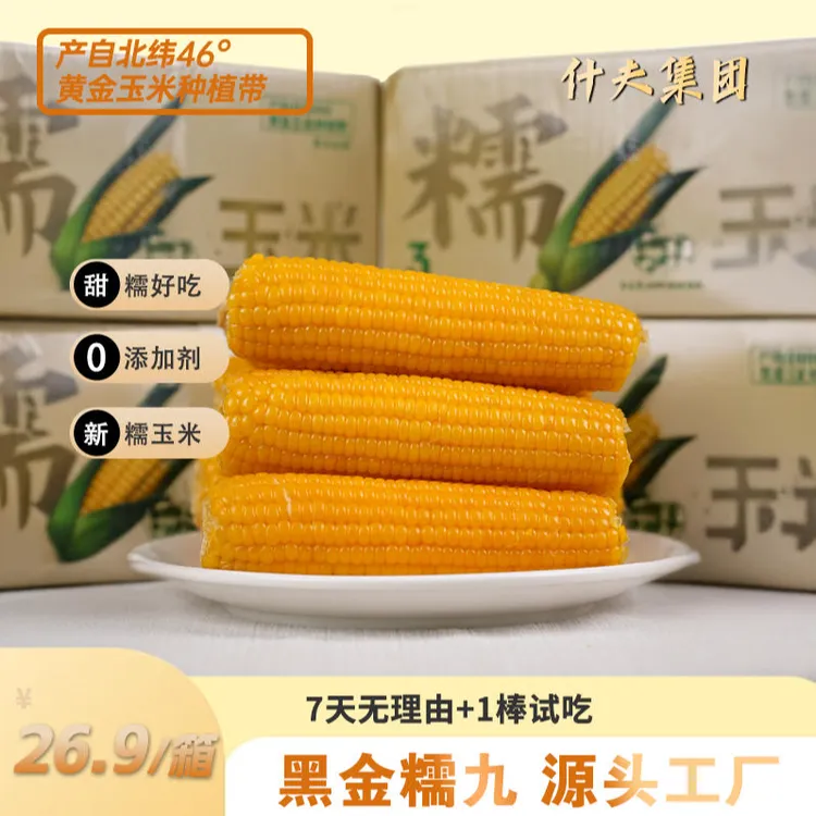 东北玉米糯九博斯糯九黄糯玉米软糯香甜220gx10棒独立包装 sn