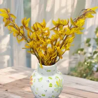 【云舍花卉】【小黄龙】大花蕙兰全场鲜花任意满2单及以上包邮发货