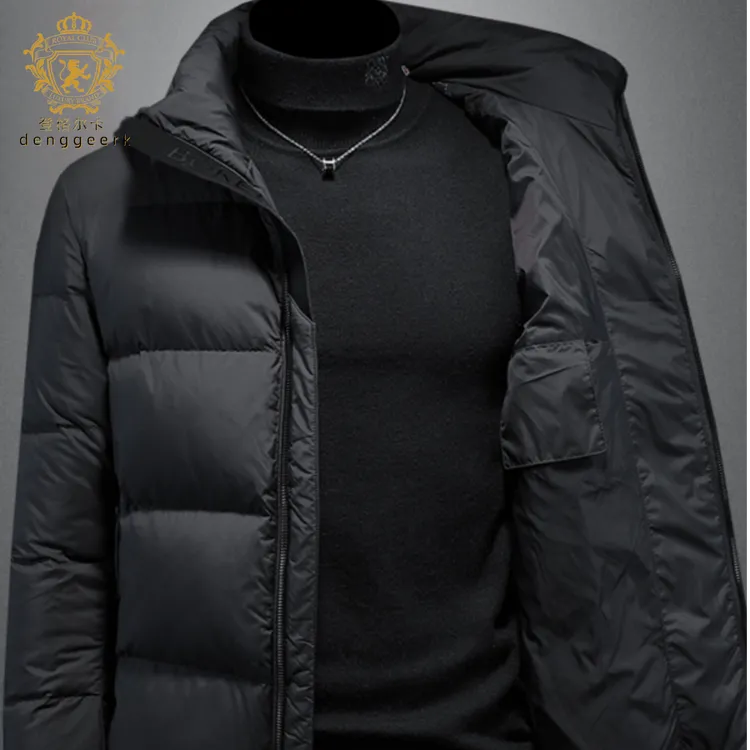 欧洲站高端立领羽绒服男装2025冬季新款鸭绒保暖休闲纯色加厚外套