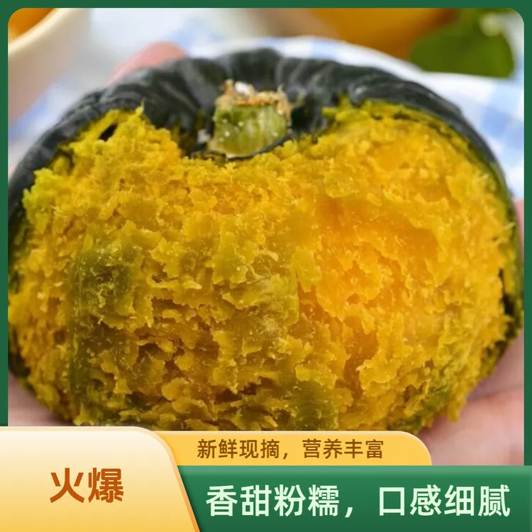 小香栗山东贝贝南瓜粉面香甜宝宝辅食首选