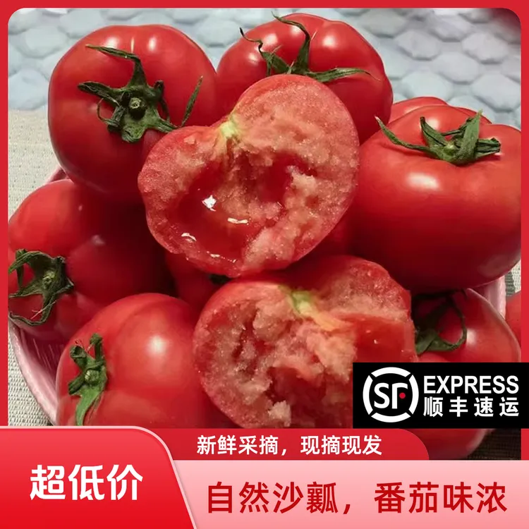 山东沙瓤西红柿3-5斤新鲜采摘皮薄味浓生吃水果蔬菜番茄顺丰包邮