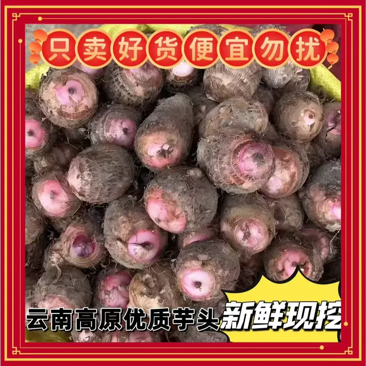 （新鲜现挖）云南高原红芽芋头芋艿软糯香甜人工精选产地直发新鲜