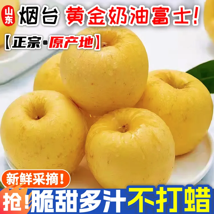 【黄金奶油富士苹果】山东烟台原产地整箱正宗新鲜水果应季脆甜