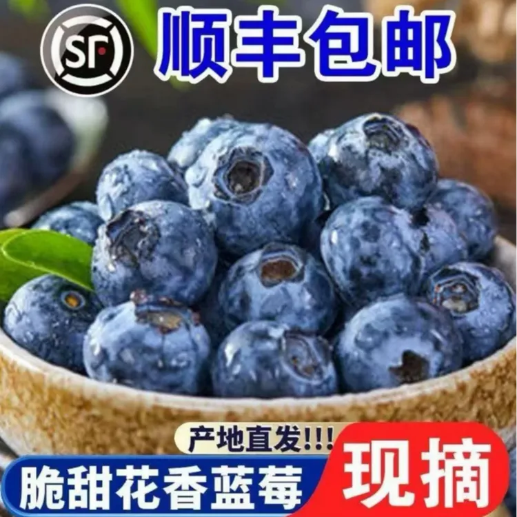 【顺丰包邮 买2斤送1斤】新鲜酸甜爆浆蓝莓当季水果产地直发