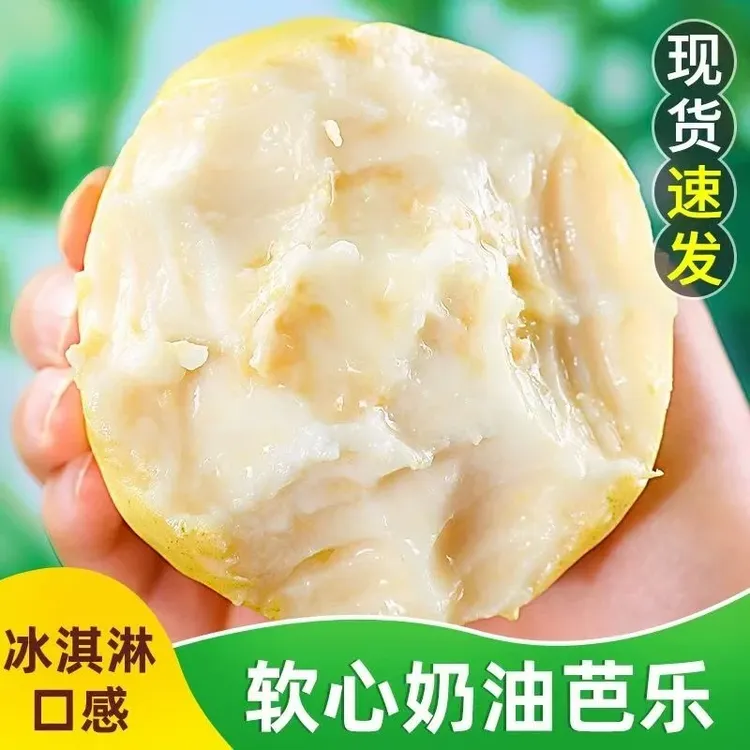 正宗广东白心奶油芭乐果软心番石榴皮薄多汁新鲜水果产地现摘现发