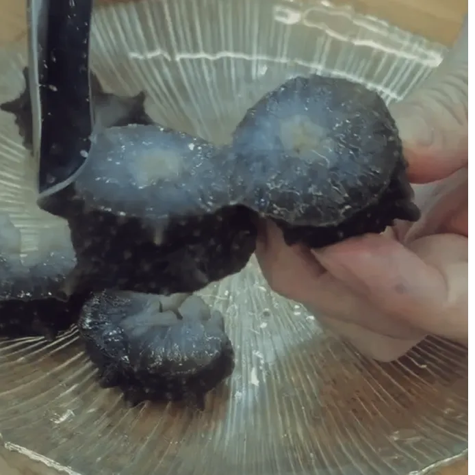 【低温熟化】山东龙口鲜食海刺参6-10头个大弹牙1.5千克包邮