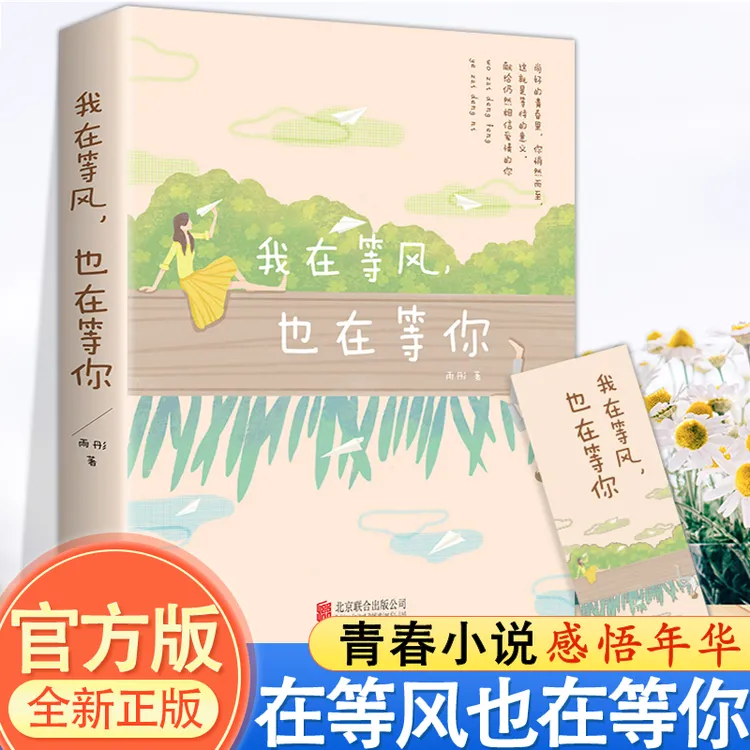 正版我在等风也在等你 尚好的青春里你悄然而至 这就是等待的意义