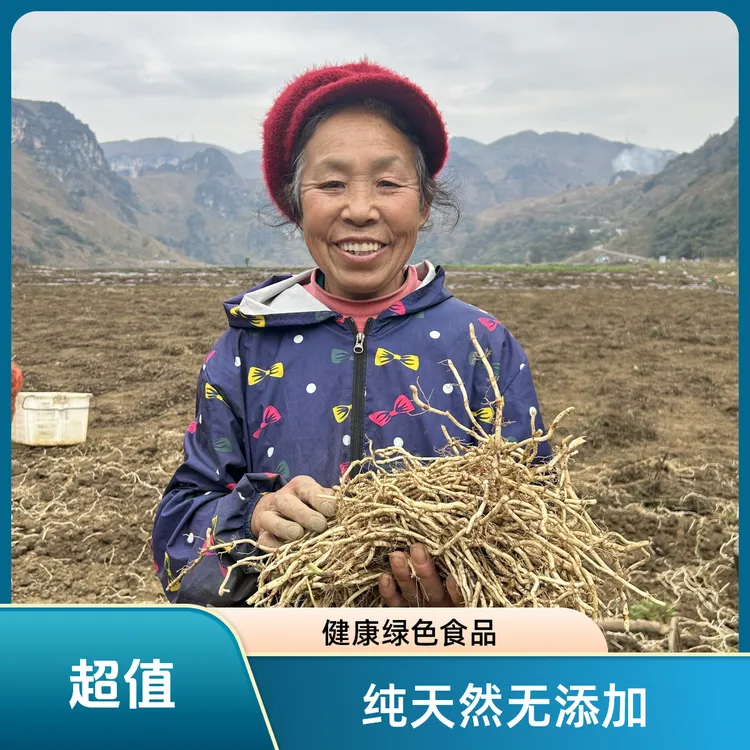 1斤尝鲜贵州农家新鲜现挖带泥鱼腥草折耳根新鲜嫩芽根