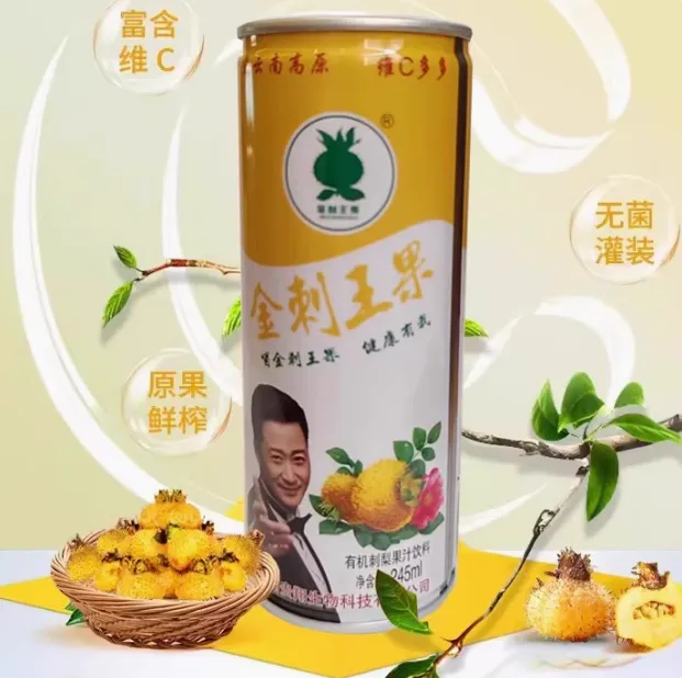 金刺王果刺梨汁果汁饮品245ml*12罐整箱天然维C混合饮料酸甜解腻