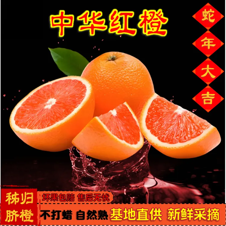 秭归中华红橙【极兔包邮】新鲜水果香甜多汁现摘现发脐橙之乡