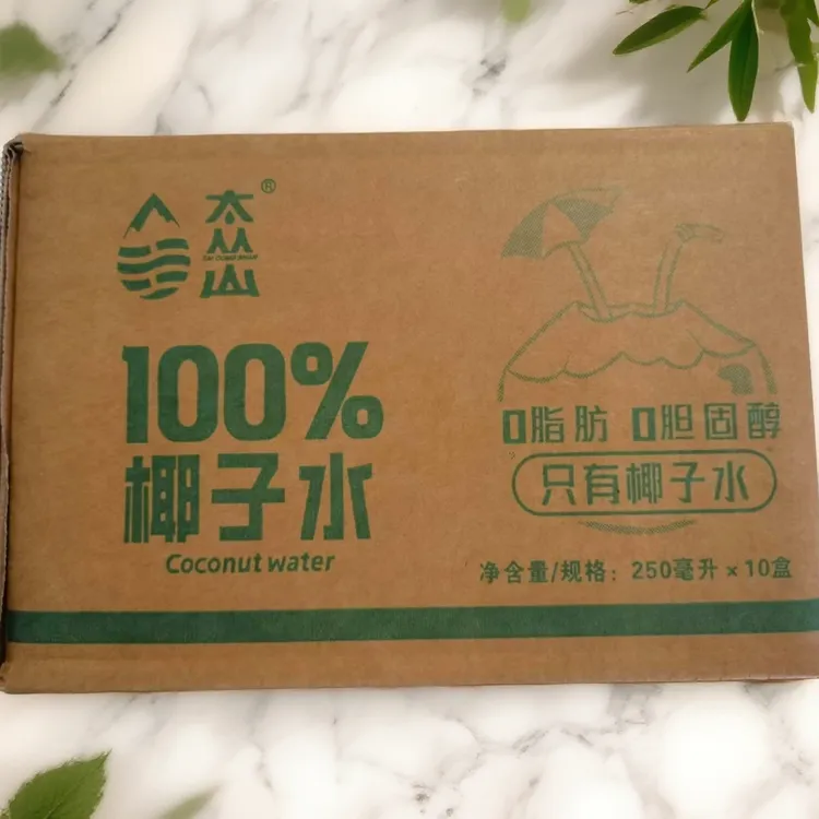 【爆款推荐】100%椰子水夏天寝室居家小饮料网红饮品整箱畅饮250ml