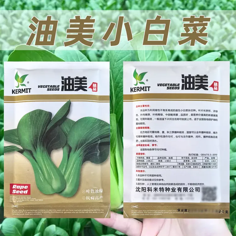 科米特油美小白菜种子周年可栽培生长期20天左右速生小白菜种子