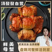 【活蟹】盘锦稻田蟹  （1.3-1两） 母蟹 3斤 产地直发（30-24只）
