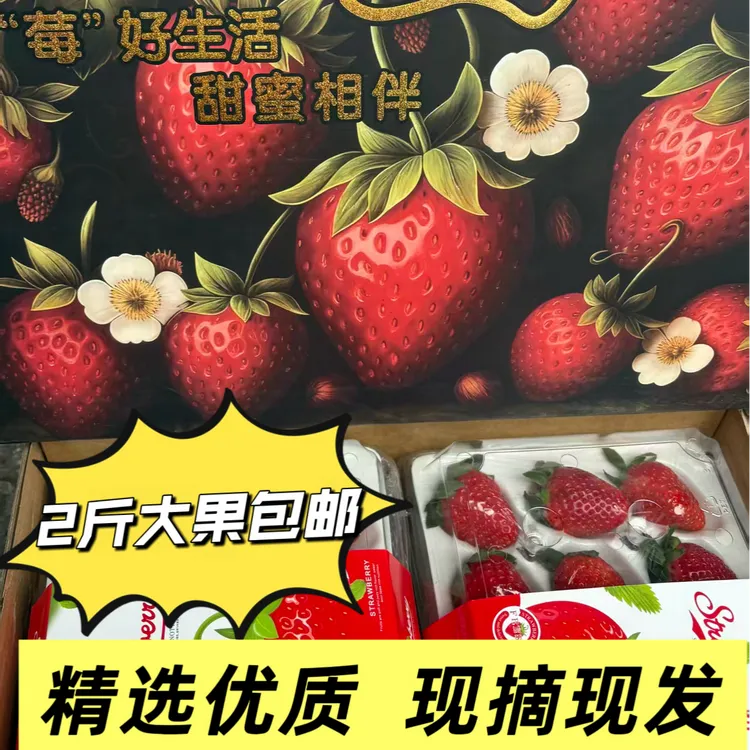 四川大凉山高山露天奶油香甜多汁新鲜2斤 包邮