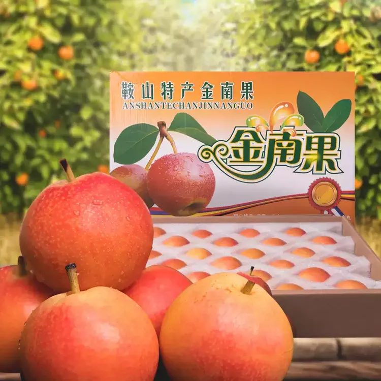 【南果梨礼盒】鞍山南果梨酒香四溢香甜正宗新鲜果园直发