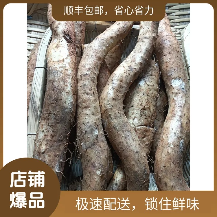 云南高山现挖粉糯野生山药爆粉煲汤冬天蔬菜（顺丰包邮）